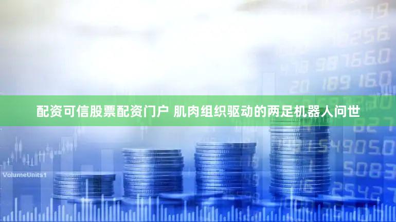 配资可信股票配资门户 肌肉组织驱动的两足机器人问世