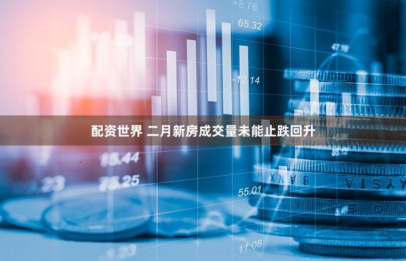 配资世界 二月新房成交量未能止跌回升