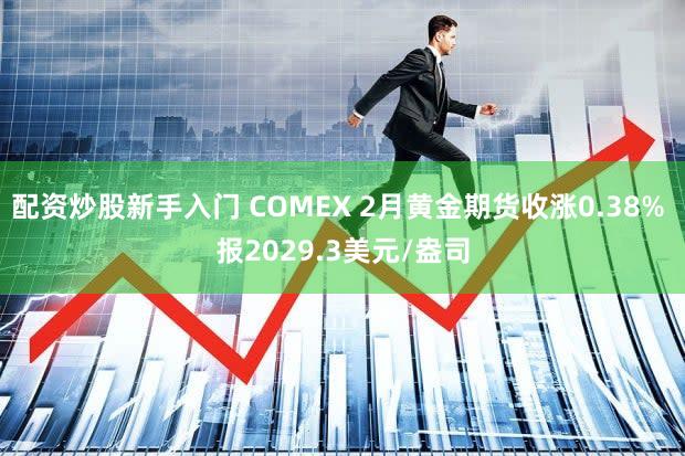 配资炒股新手入门 COMEX 2月黄金期货收涨0.38% 报2029.3美元/盎司