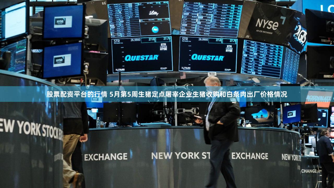 股票配资平台的行情 5月第5周生猪定点屠宰企业生猪收购和白条肉出厂价格情况