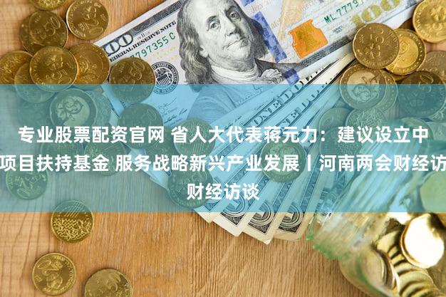 专业股票配资官网 省人大代表蒋元力:建议设立中试项目扶持基金 服务战略新兴产业发展丨河南两会财经访谈