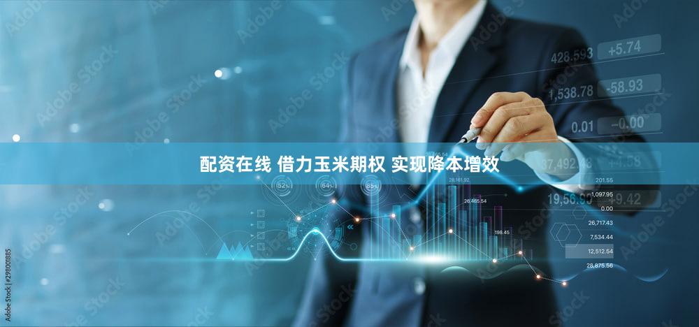 配资在线 借力玉米期权 实现降本增效