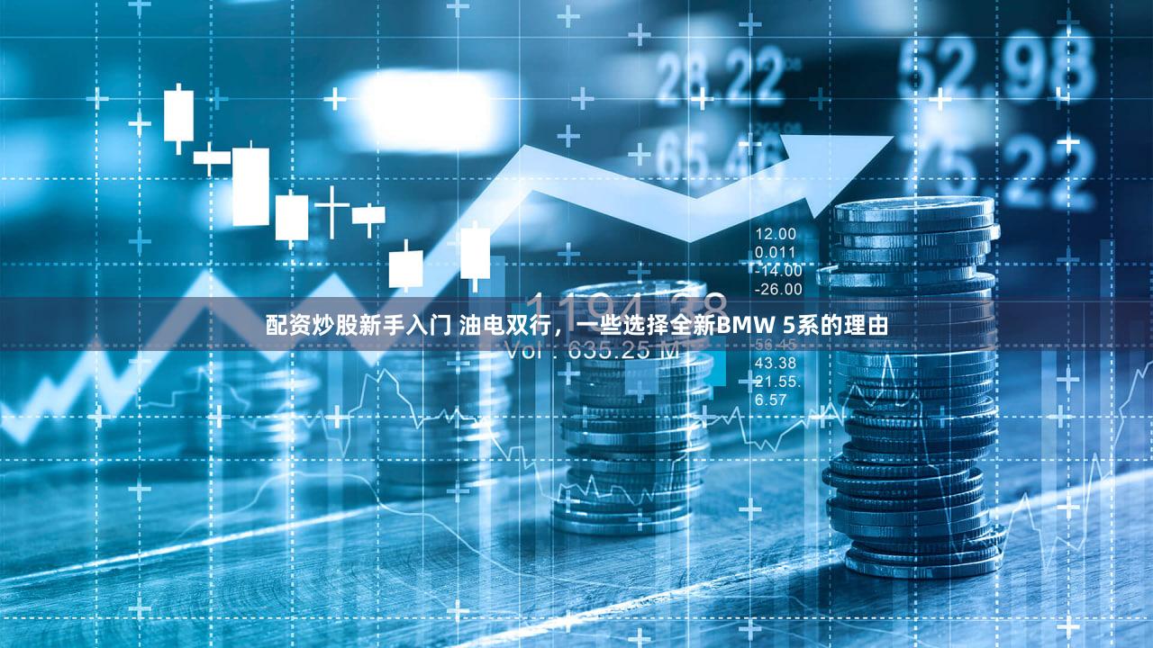 配资炒股新手入门 油电双行,一些选择全新BMW 5系的理由