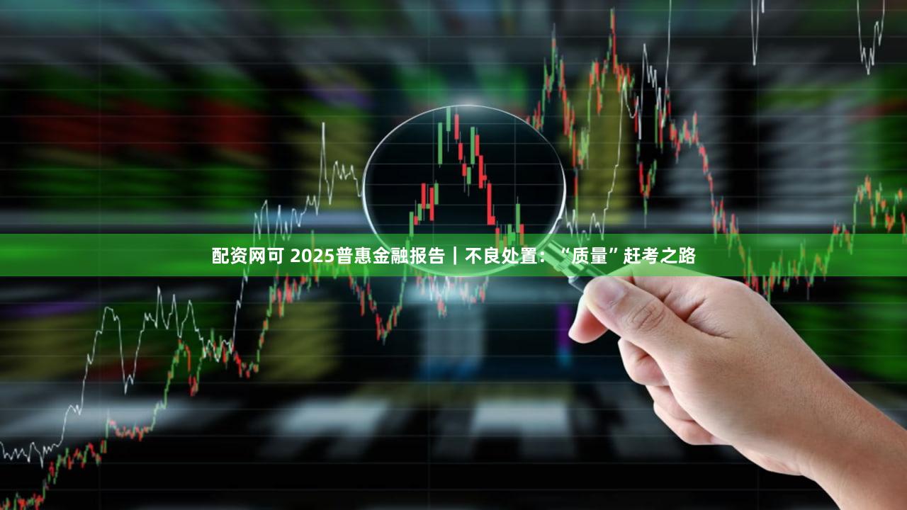 配资网可 2025普惠金融报告｜不良处置：“质量”赶考之路