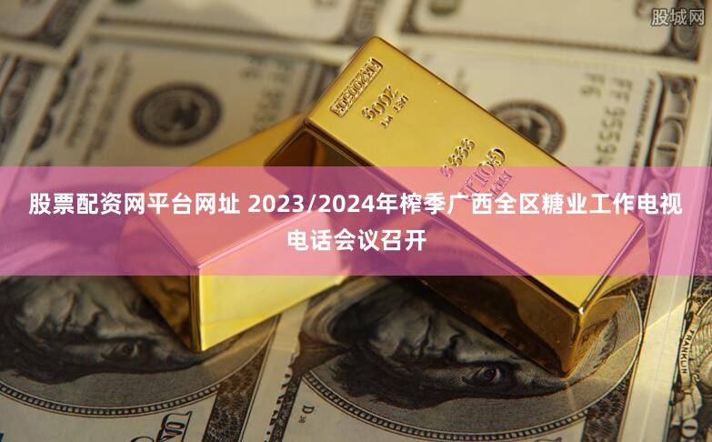 股票配资网平台网址 2023/2024年榨季广西全区糖业工作电视电话会议召开