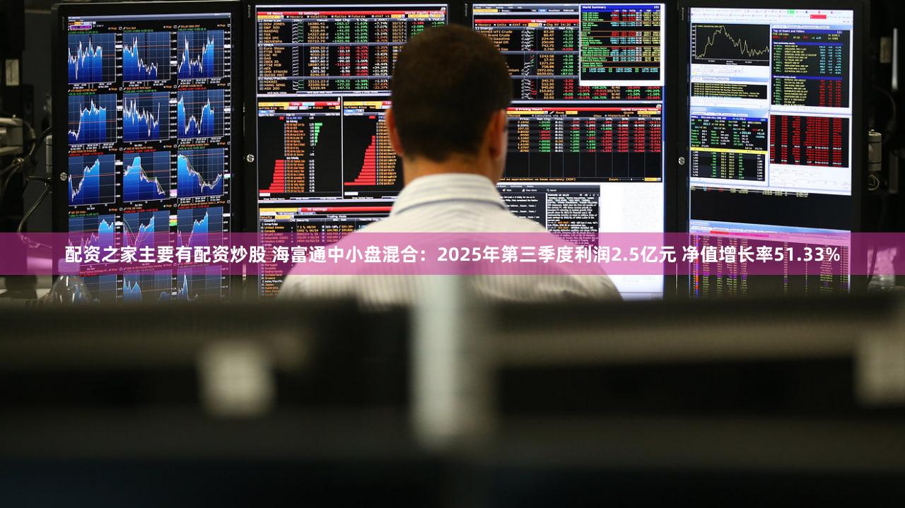 配资之家主要有配资炒股 海富通中小盘混合：2025年第三季度利润2.5亿元 净值增长率51.33%