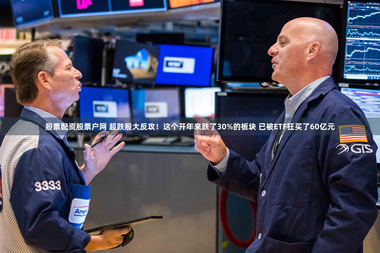 股票配资股票户网 超跌股大反攻!这个开年来跌了30%的板块 已被ETF狂买了60亿元