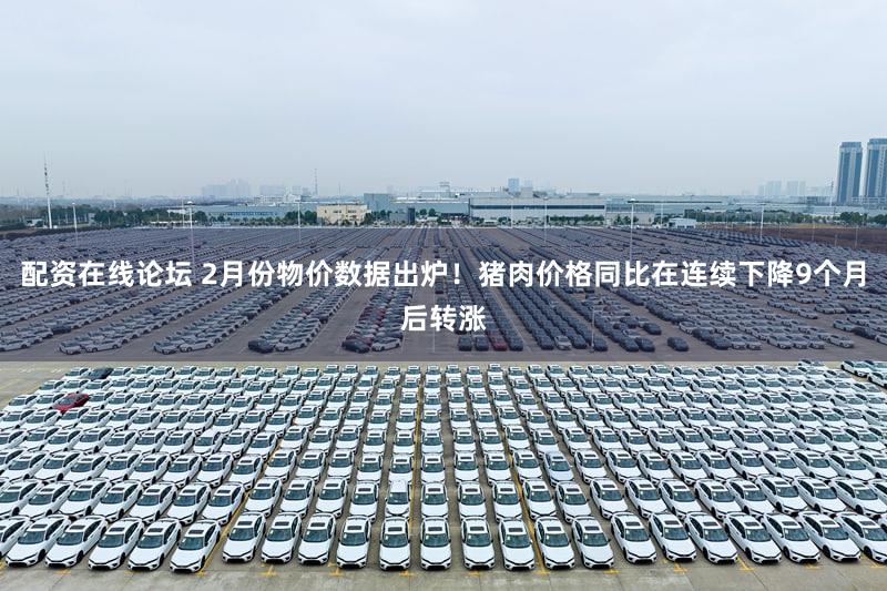 配资在线论坛 2月份物价数据出炉！猪肉价格同比在连续下降9个月后转涨