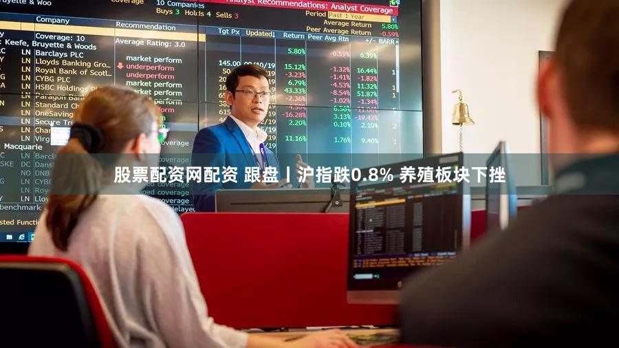 股票配资网配资 跟盘丨沪指跌0.8% 养殖板块下挫